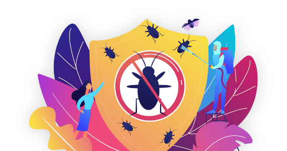 Termites